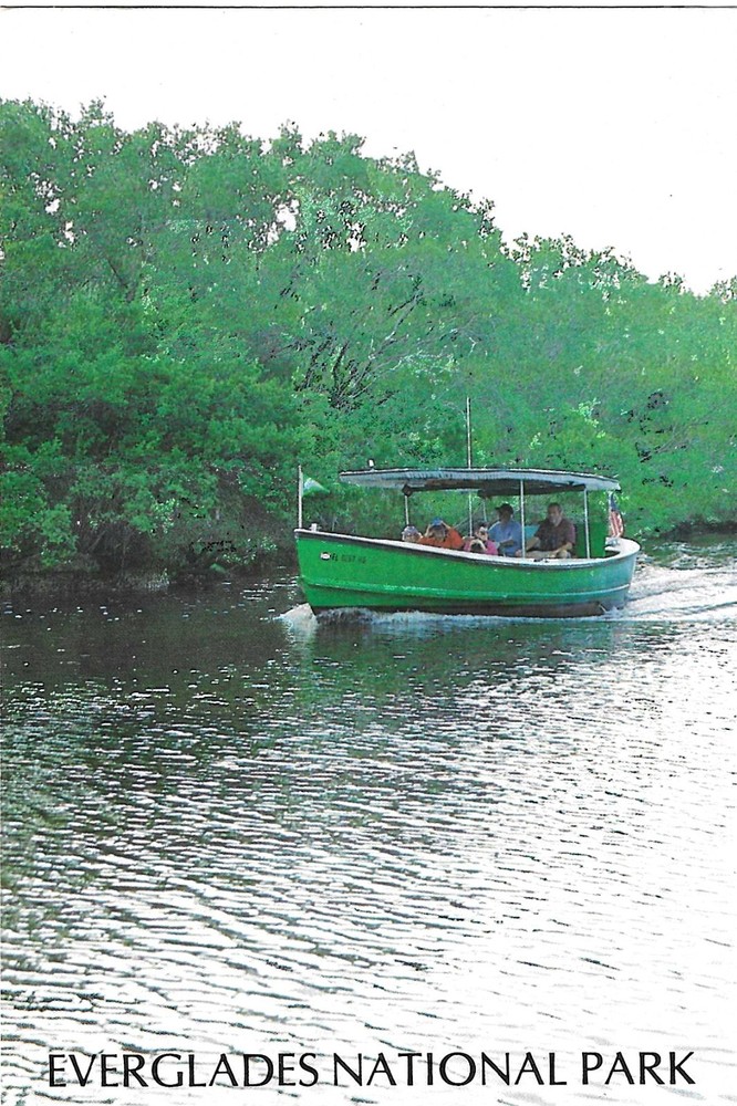 Vintage Florida Chrome Postcard Everglades National Park Expedition Cruise