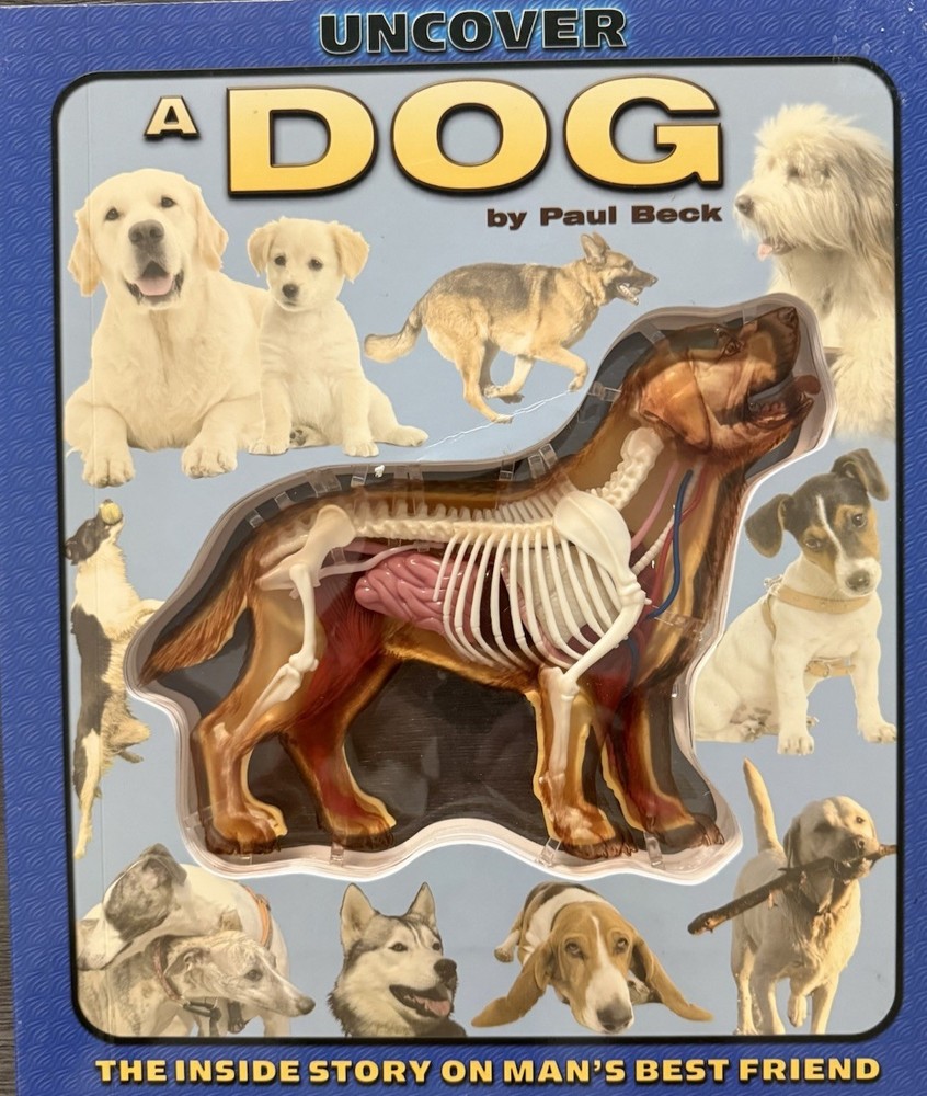 Uncover a Dog Hardcover Layered 3D Anatomy Skeleton Book Kids -Like New