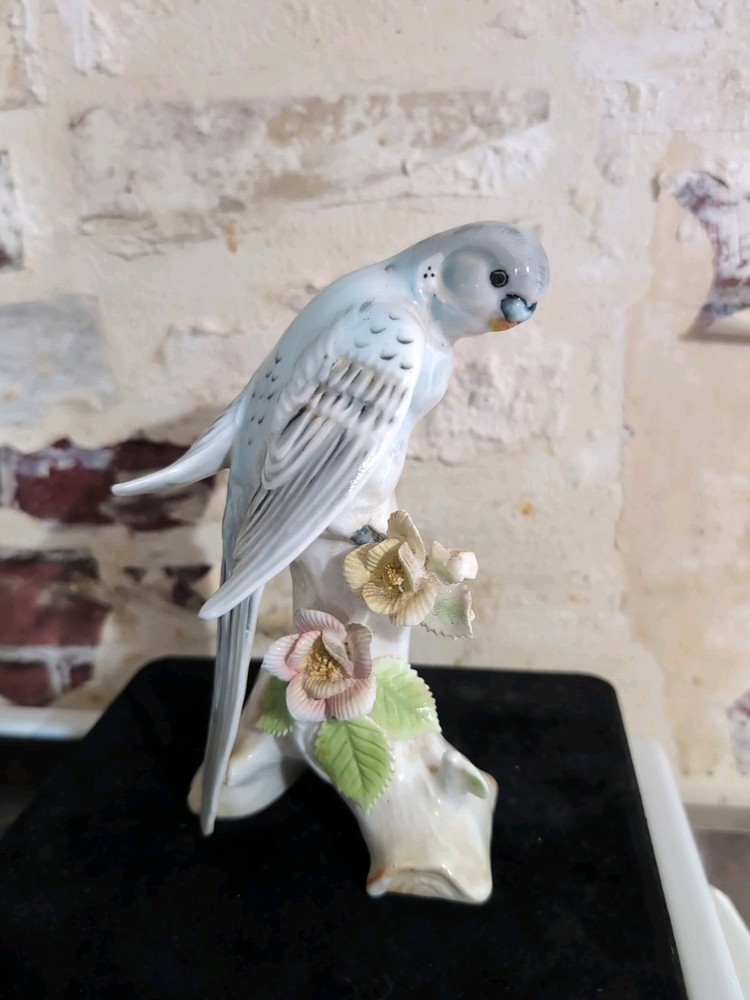 Vintage Parakeet By Andrea S.