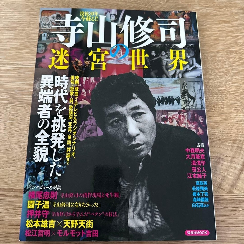 Shuji Terayama's Labyrinth World Full Story of the Heretic Provoking Era Book