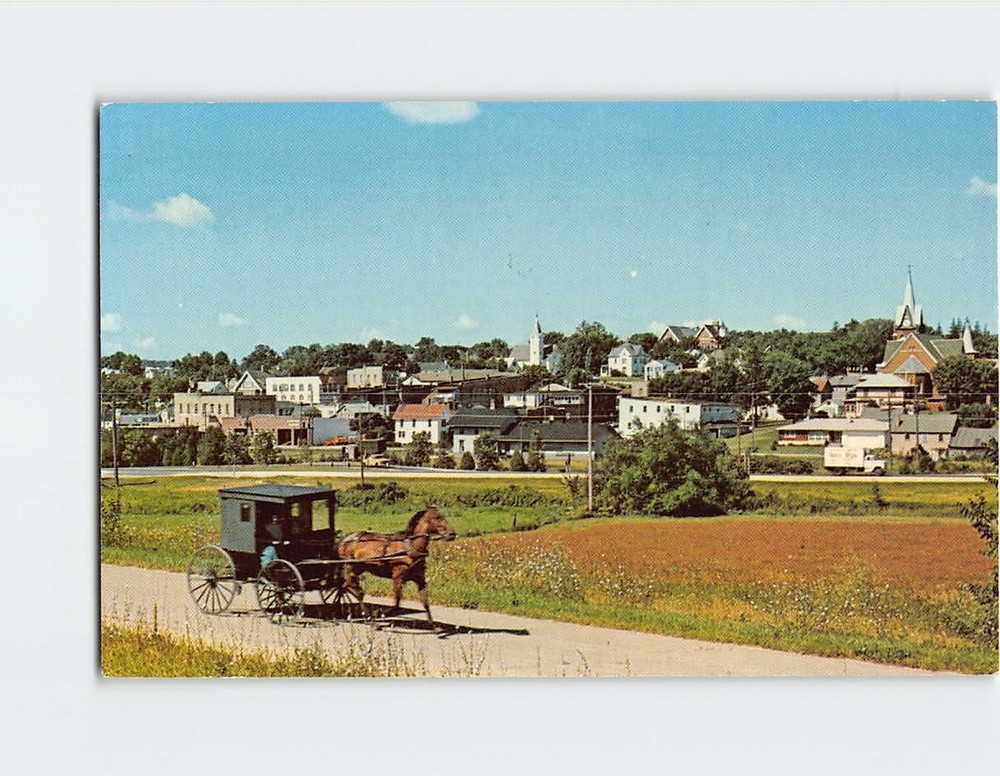 Postcard Amish Buggy New Glarus Wisconsin USA North America