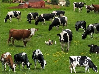 Farm Animals Fabric Cow Pasture Green by Elizabeths Studio YARD