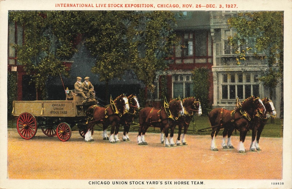 Chicago Union Stock Yard’s Six Horse Team Live Stock Exposition 1927 Postcard