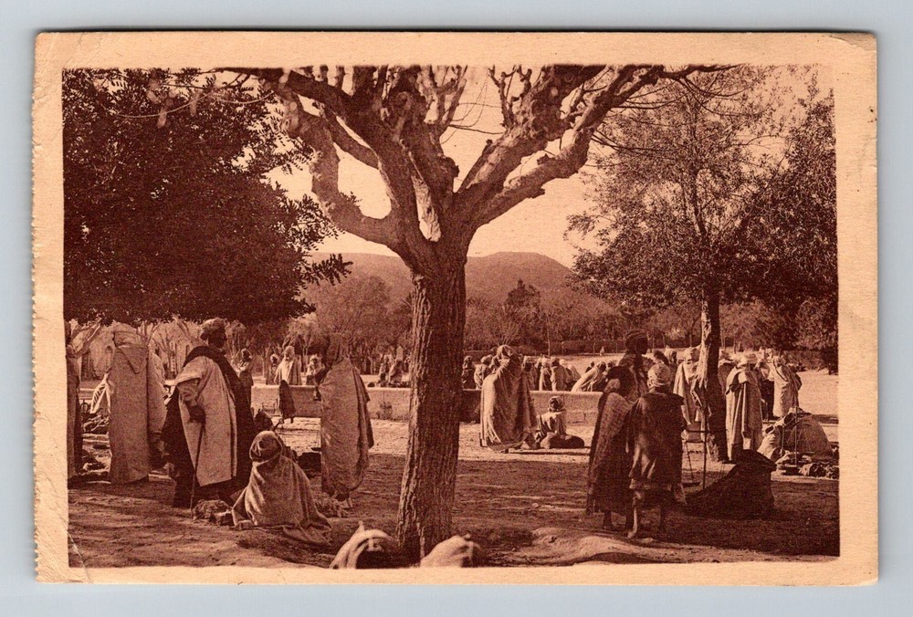 Africa- Algeria Bou-Saada Rest Stop For Travelers Old Post Card Vintage Postcard