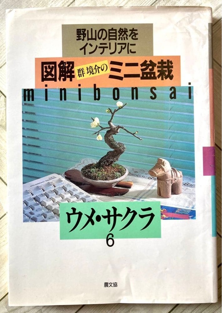 Illustrated Mini Bonsai by Gunkyosuke Plum Cherry Tree 454091104X