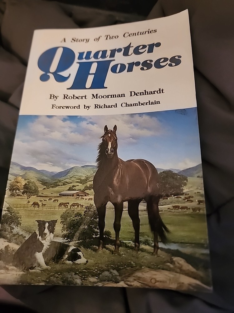 Quarter Horses : A Story of Two Centuries by Robert Moorman Denhardt 1991