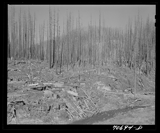 Photo:Tillamook County Oregon 1941 Lumber Workers Housing Burned Forests
