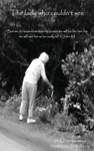 The Lady Who Couldn't See by Holbert, Cary, Like New Used, Free shipping in t...