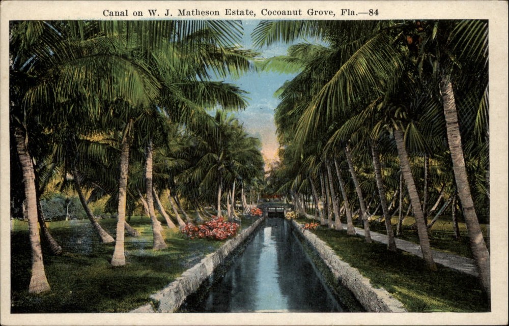 Cocoanut Grove Florida WJ Matheson estate Canal palm trees vintage postcard