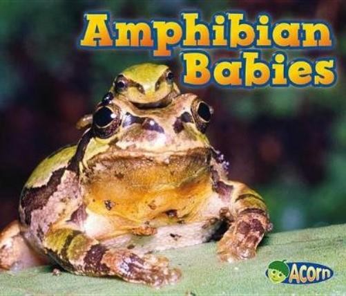 Catherine Veitch Animal Babies Amphibian Babies (Paperback)Another great item from Rarewaves USA | Free delivery!