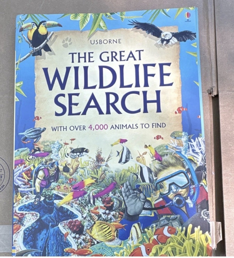 Usborne The Great Wildlife Search and How to Draw