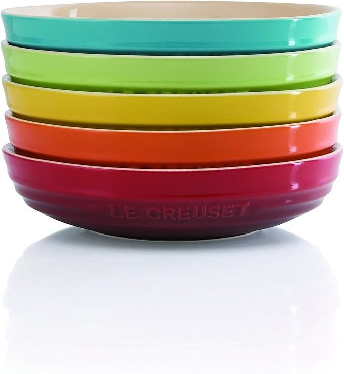 Le Creuset Round Dish 20cm Rainbow Set of 5 Deep Plates Stoneware Japan New