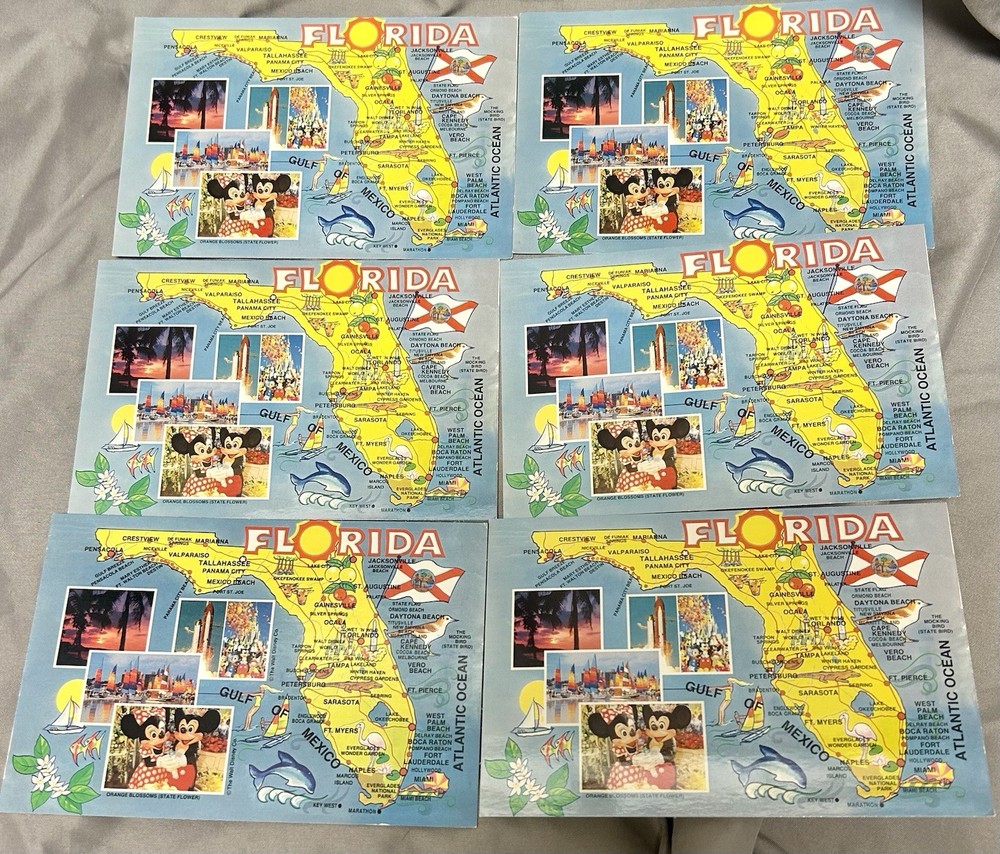 Lot of 6 Florida Postcards Disney/State Bird/Beaches State Flag Unused Vintage
