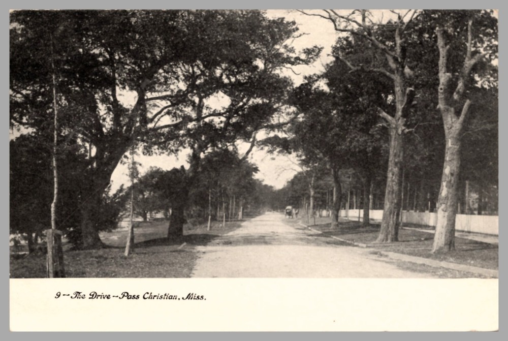The Drive Pass Christian Mississippi Tree-Lined Road UDB RPPC c1905 Postcard