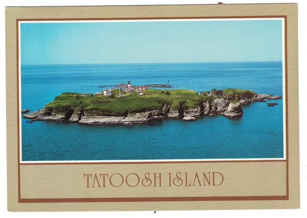Vintage View Of Tatoosh Island Washington State Postcard