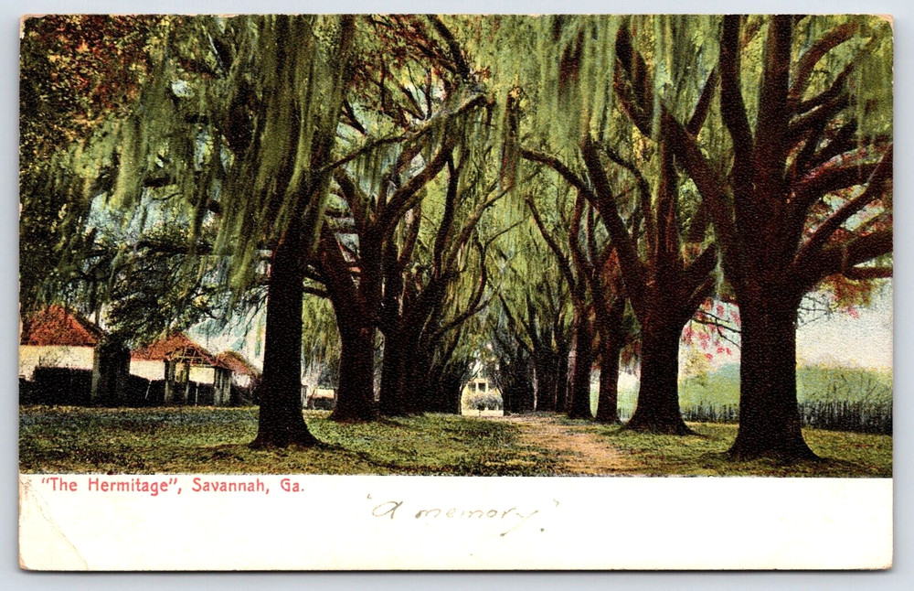 Vintage Postcard Savannah Georgia Hermitage Plantation Mansion Home Oak Trees