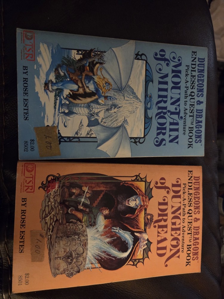 Endless Quest Books  Mountain of Mirrors &  Dungeon Of Dread Dungeons & Dragons