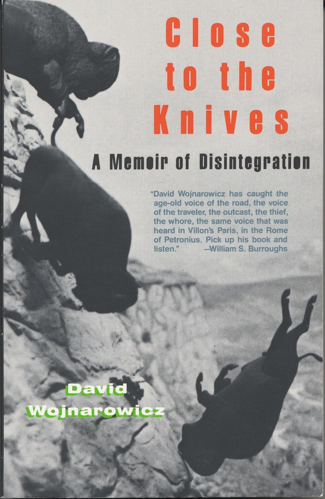 Close to the Knives: a Memoir of Disintegration