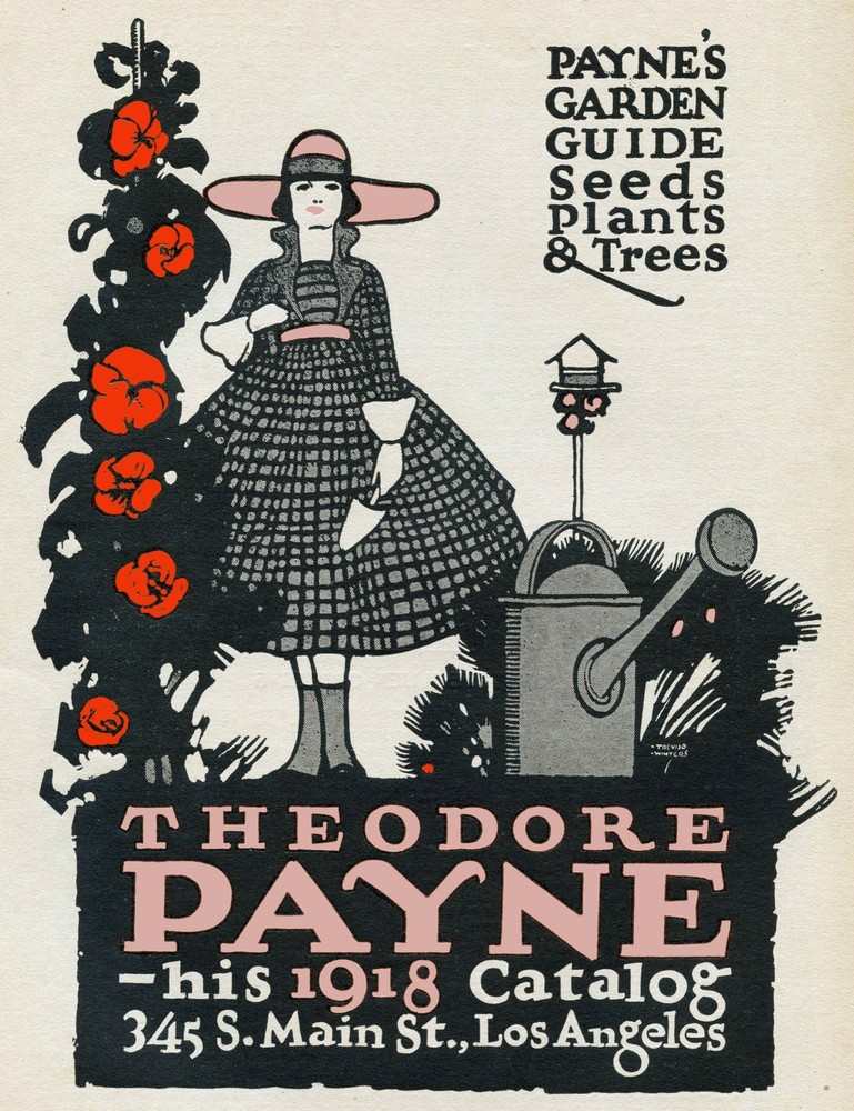 Decoration Poster.Home room art.Interior design.Payne Seeds plants growers.7283