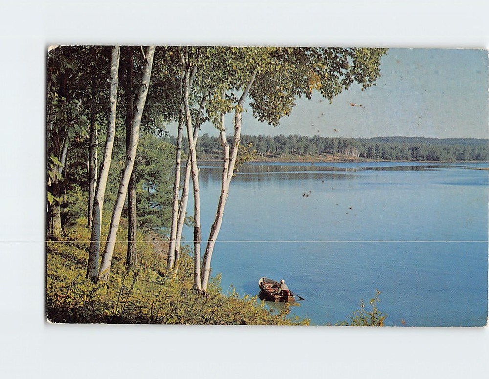 Postcard Greetings From Stone Lake Wisconsin Fishing Fun