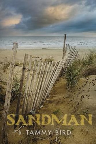 Sandman by Tammy Bird: Used