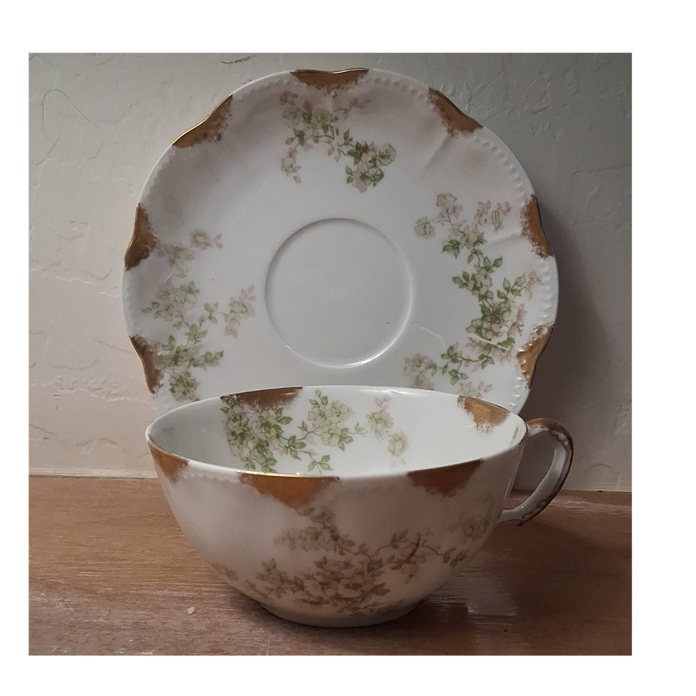 Haviland Limoges France Porcelain Floral Gold Trim Tea Cup & Saucer Set