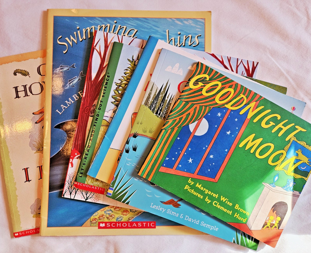 Lot Of Gently Used Children’s Books
