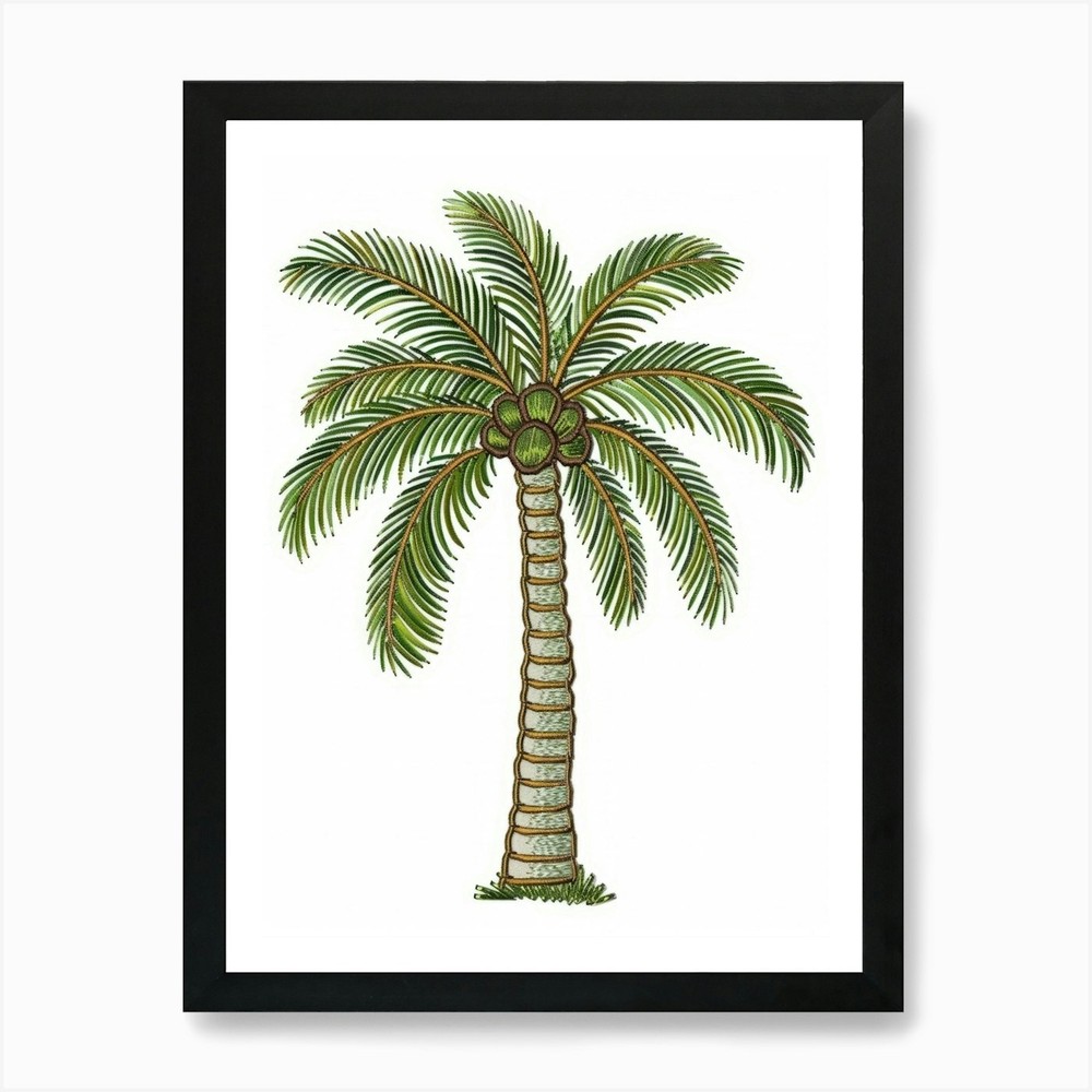 Palm Tree 31 Art Print Framed Wall Art Poster Canvas Print Picture
