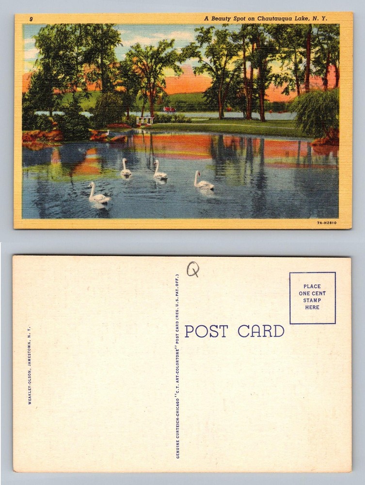Chautauqua Lake, NY-New York, Beauty Spot Swans Scenic Sunset Vintage Postcard