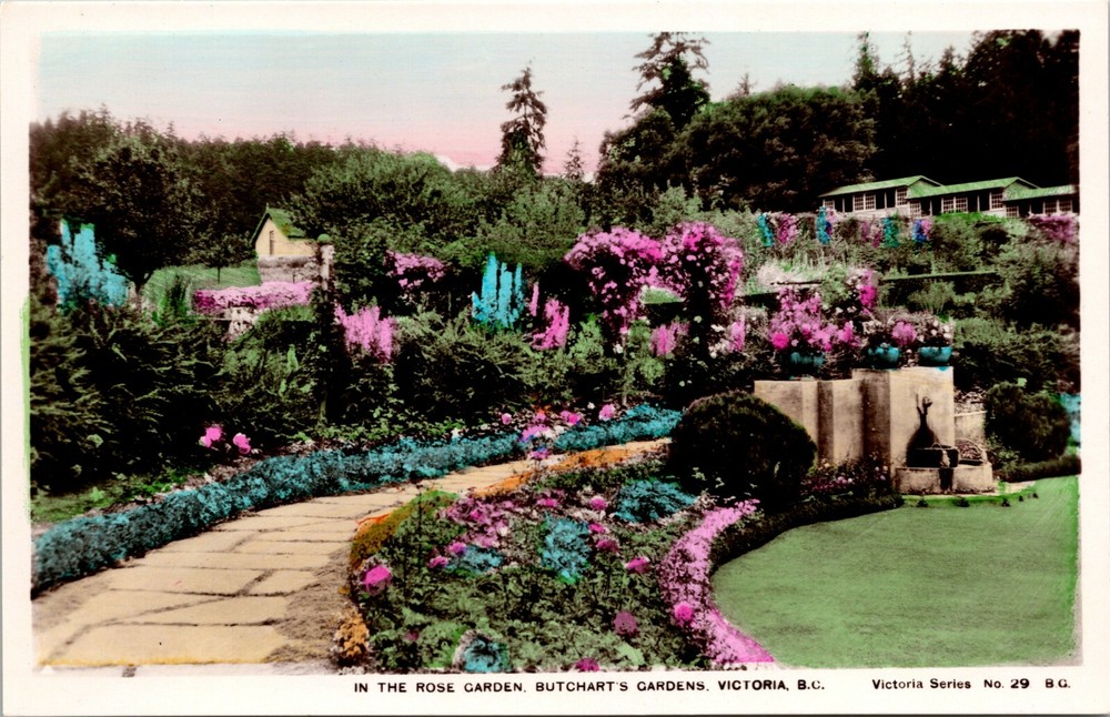 Rose Garden, Butchart's Gardens Victoria BC Canada Hand Color Vintage Postcard