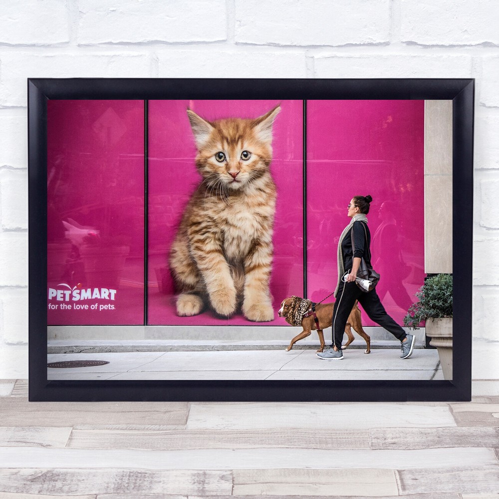 Street Kitten Dog Woman Walking Feline Canine Wall Art Print