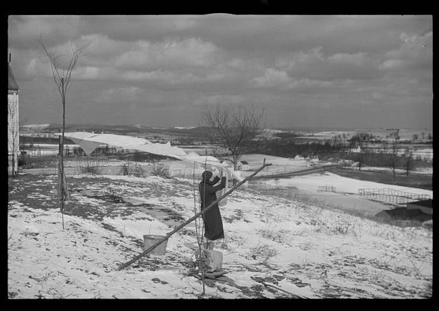 Photo:1930s Winter Clothesline Rural Snow Landscape Person