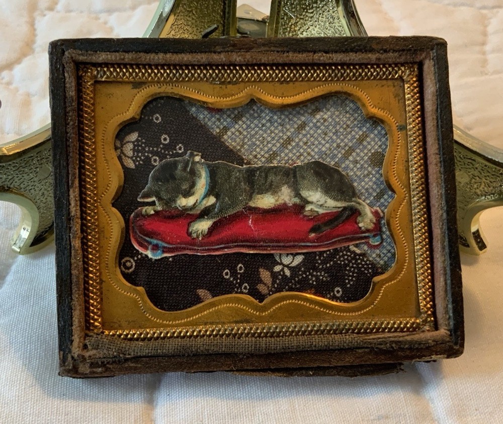 Vintage Antique Victorian Die Cut Ephemera Framed, Union Case, Kitty Cat