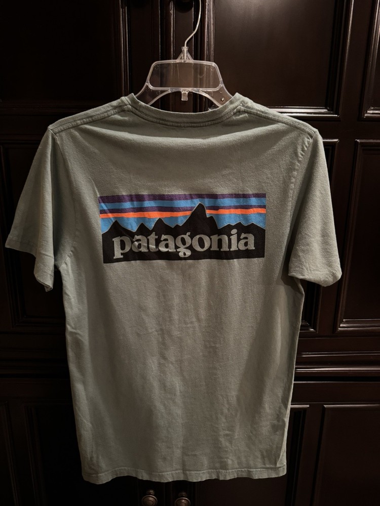 Patagonia Men's Short Sleeve T-Shirt Size Small Slim Fit