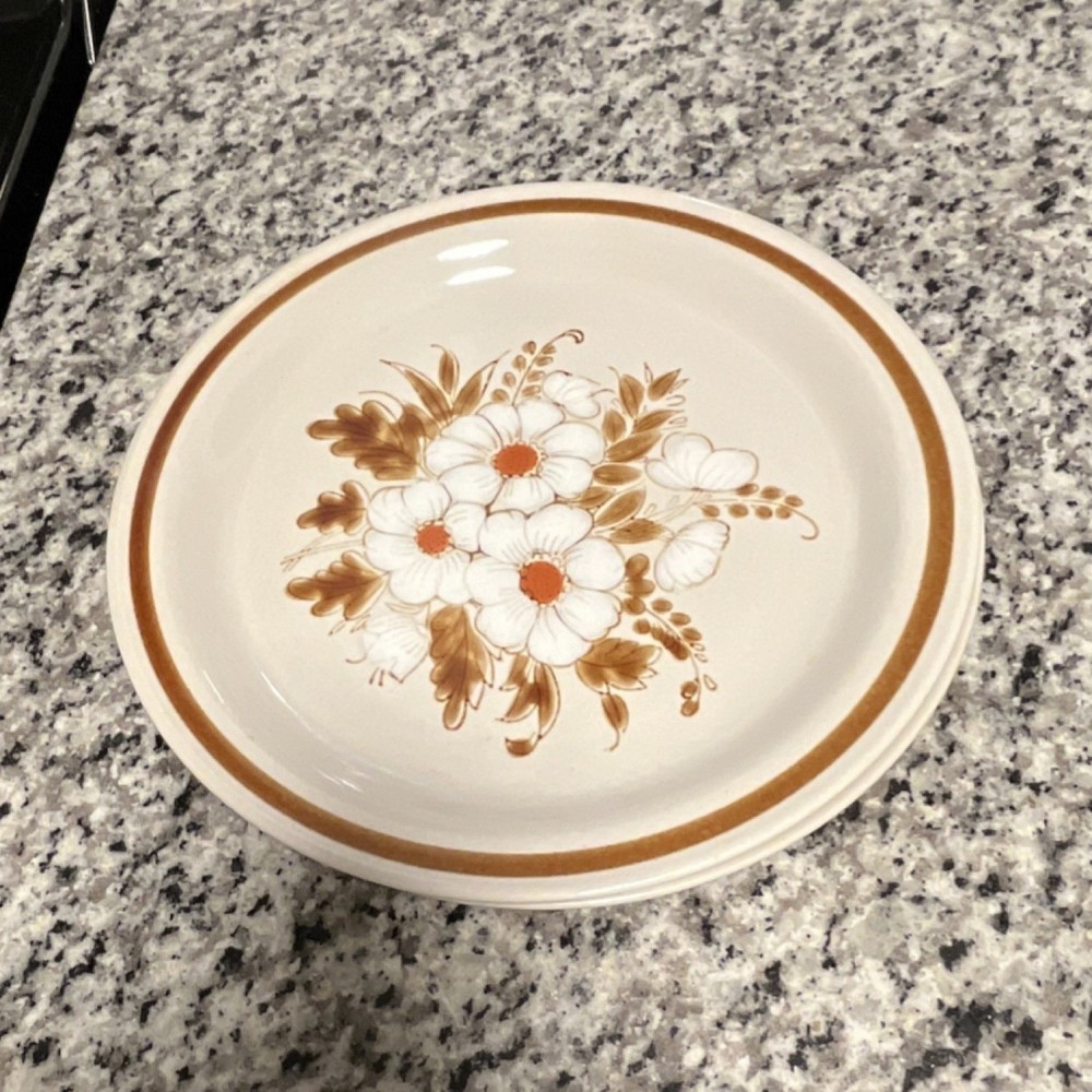 2 Mountain Wood Collection Stoneware Dinner Plate Dried Flowers Floral Design