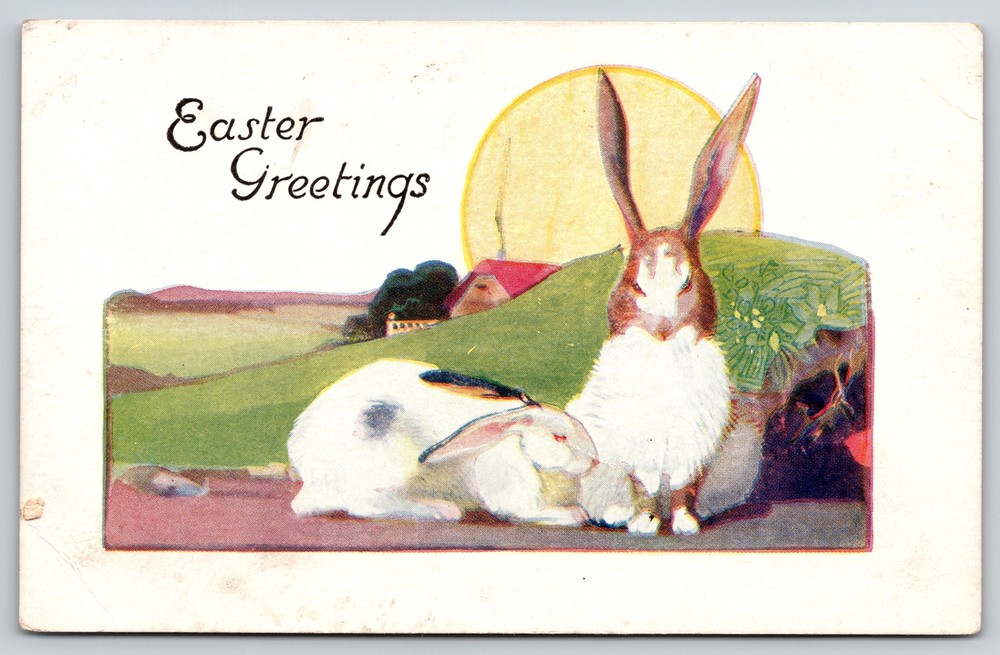 Holiday~Easter Greetings~Rabbits On Side Of Road @ Sunrise~Vintage Postcard