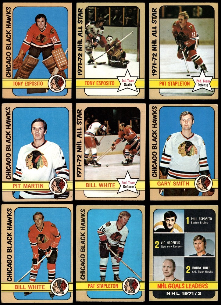 1972-73 Topps Chicago Blackhawks Near Team Set 3.5 - VG+ 7215227 (9 / 16 cards)