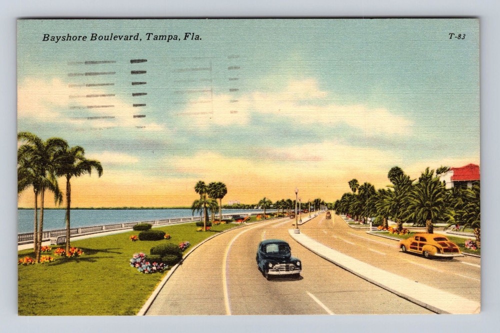 Tampa FL-Florida, Bayshore Boulevard, Antique, Vintage c1953 Souvenir Postcard