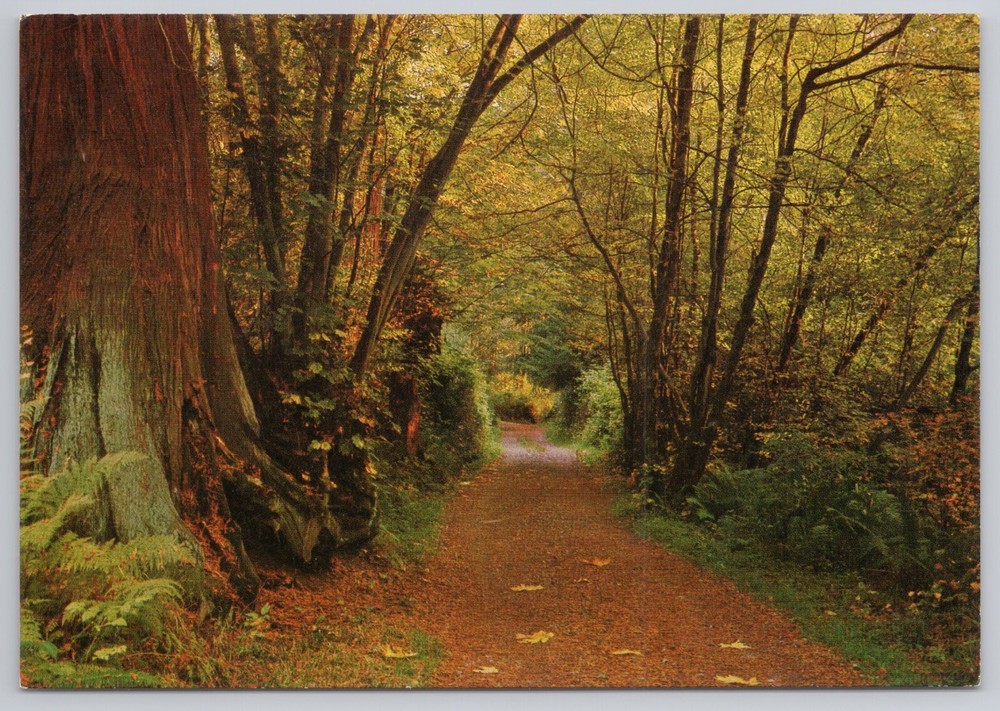 Postcard Stanley Park Vancouver British Columbia Canada