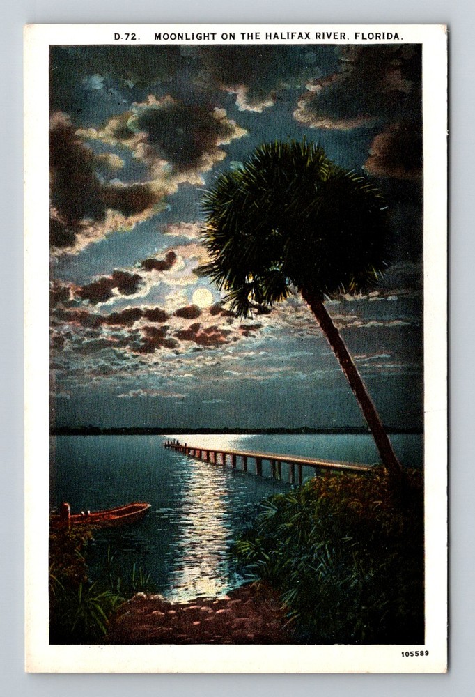 Daytona Beach, FL-Florida, Moonlight Halifax River Palm Pier Vintage Postcard