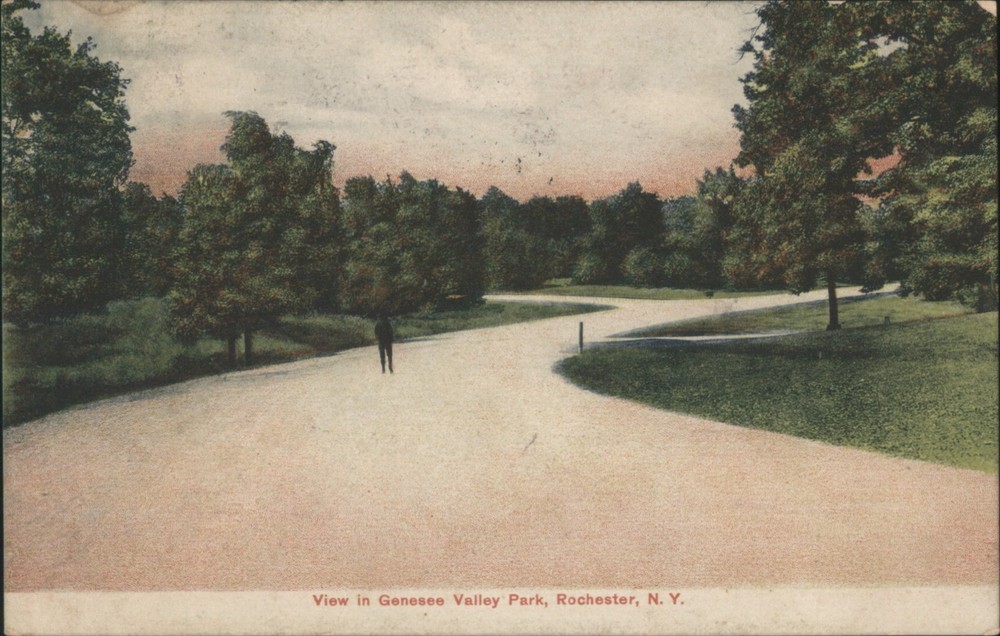 Rochester, NY New York Genesee Valley Park Winding Path 1908 Vintage Postcard