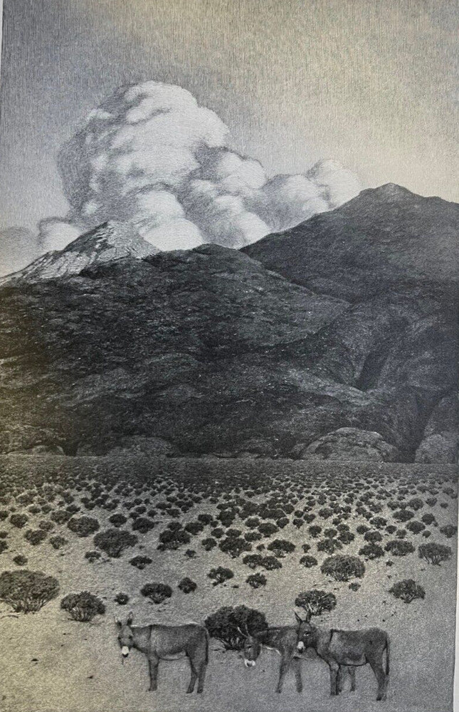 1902 Maxfield Parrish Illustrations Great Southwest Gold Mines Desert