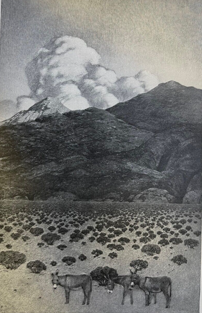 1902 Maxfield Parrish Illustrations Great Southwest Gold Mines Desert