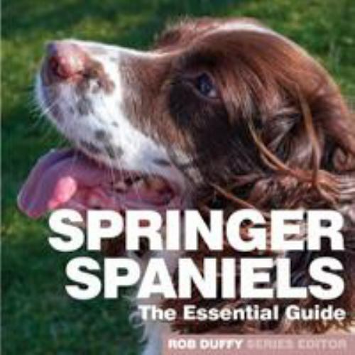 Springer Spaniels : The Essential Guide, Paperback by Duffy, Robert (EDT), Li...