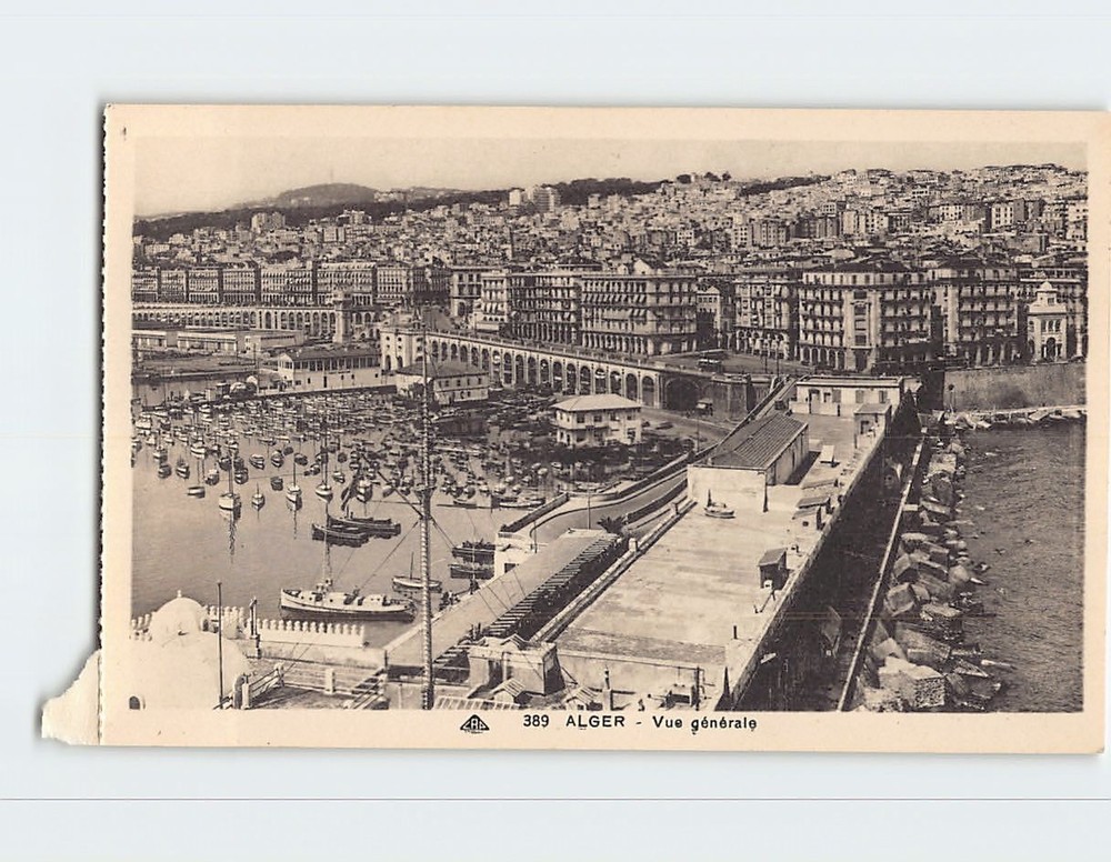 Postcard General View of Algiers Algeria