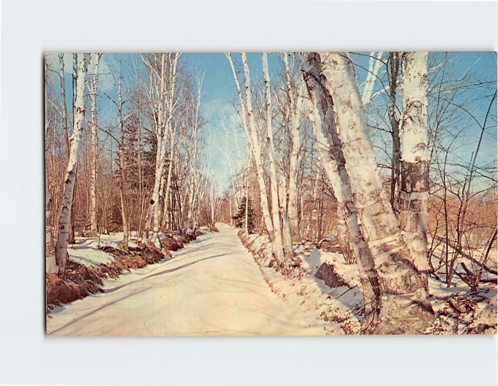 Postcard Wintertime In The Pocono Mountains Pennsylvania