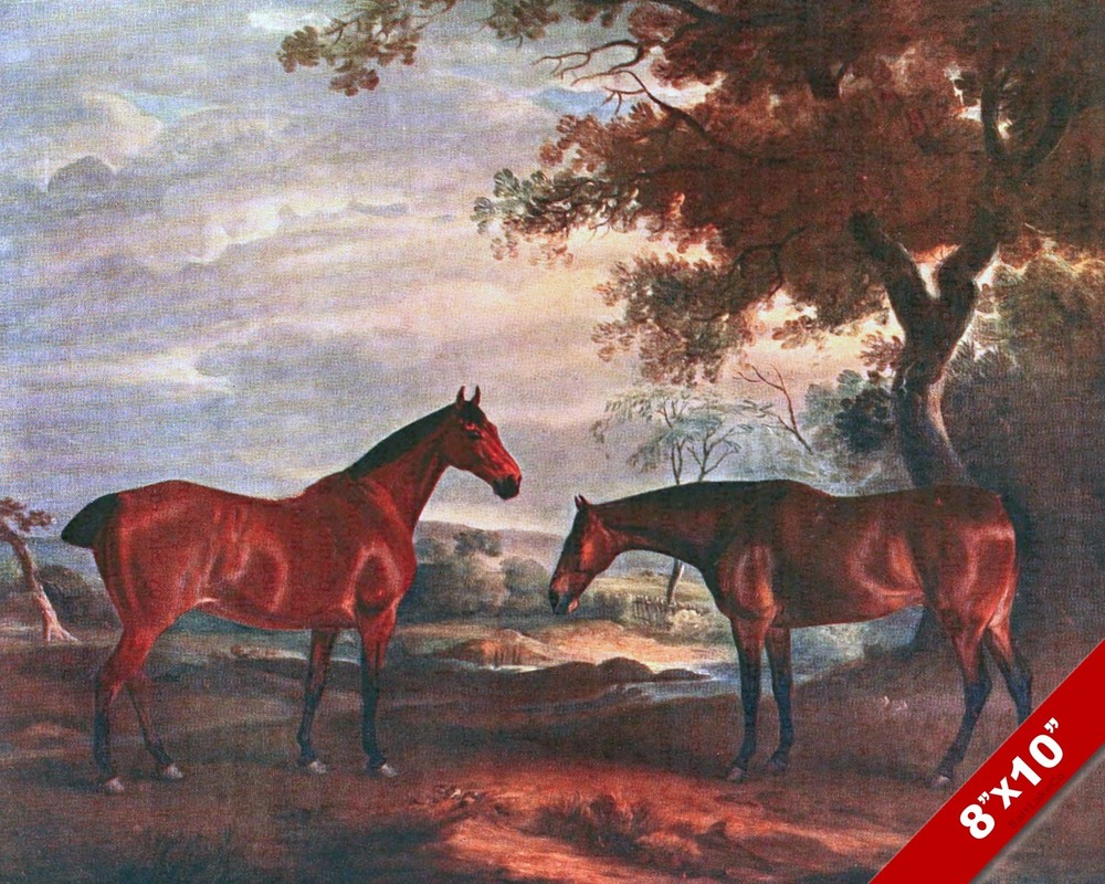 YORKSHIRE HUNTER HORSES EQUESTRIAN HUNTING ART PAINTING REAL CANVAS PRINT