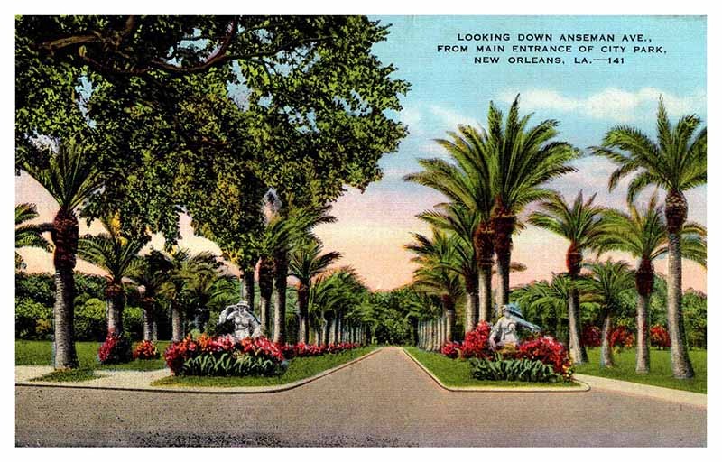 Postcard ROAD SCENE New Orleans Louisiana LA m/09 AQ6005