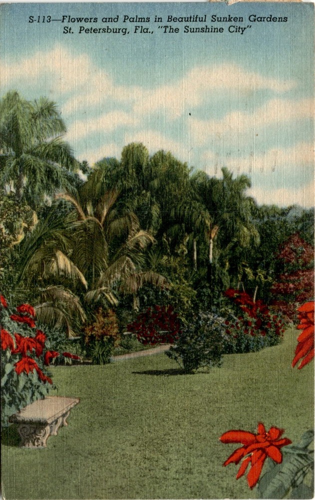 Sunken Gardens, St. Petersburg, Florida, Turner's Sunken Gardens, Sun Postcard