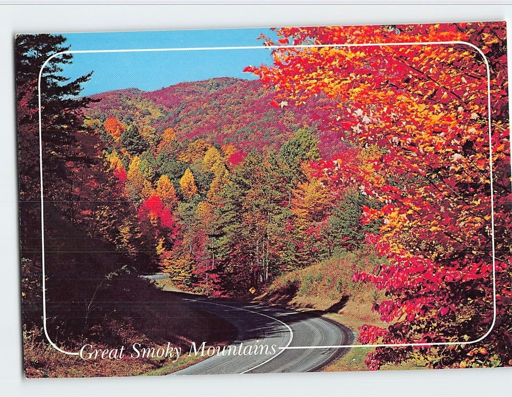 Postcard Fall Highway Scene Great Smoky Mountains National Park USA
